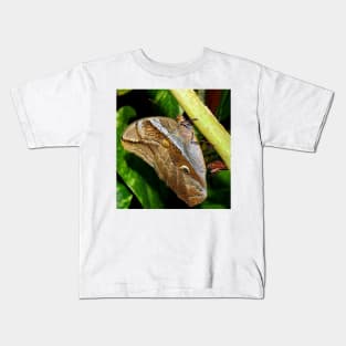 Mournful Brown Owl Butterfly showing his beautiful patterns on its wings Kids T-Shirt